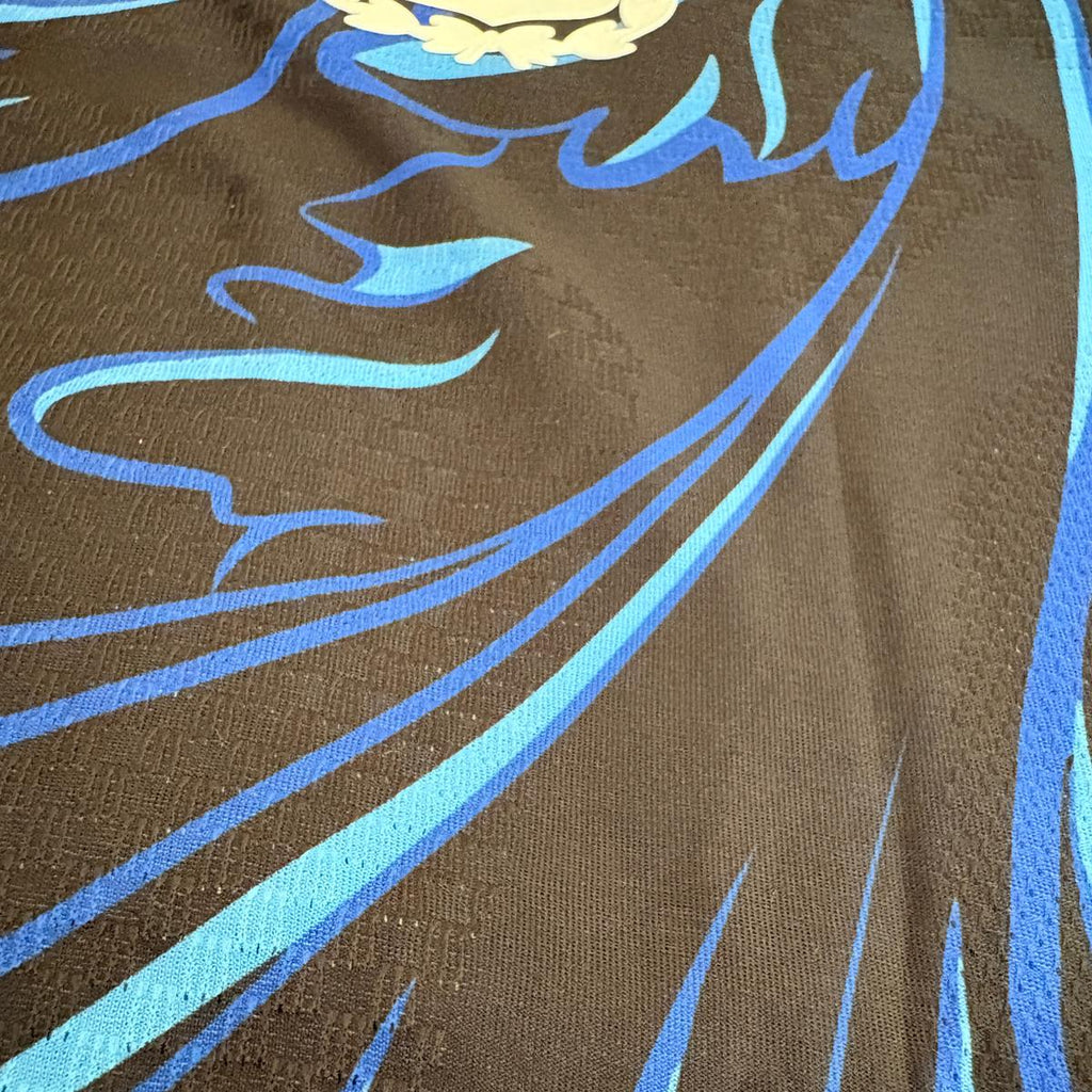 Tricou Argentina player version Cupa Mondială 2026